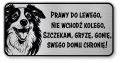 Tabliczka ostrzegawcza - Uwaga pies Border Collie śmieszna