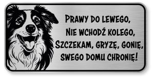 Tabliczka ostrzegawcza - Uwaga pies Border Collie śmieszna