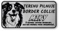 Tabliczka ostrzegawcza - Uwaga pies Border Collie z imieniem