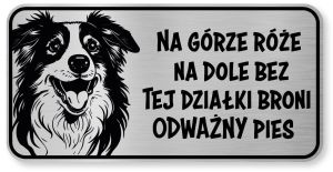 Tabliczka ostrzegawcza - Uwaga pies Border Collie śmieszna