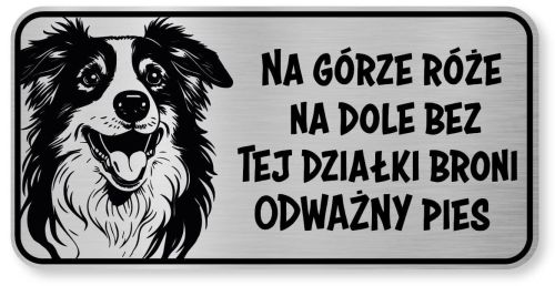 Tabliczka ostrzegawcza - Uwaga pies Border Collie śmieszna
