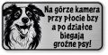 Tabliczka ostrzegawcza - Uwaga pies Border Collie śmieszna