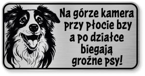 Tabliczka ostrzegawcza - Uwaga pies Border Collie śmieszna