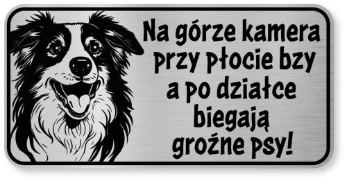 Tabliczka ostrzegawcza - Uwaga pies Border Collie śmieszna