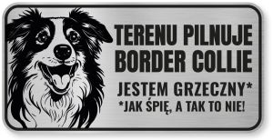 Tabliczka ostrzegawcza - Uwaga pies Border Collie śmieszna
