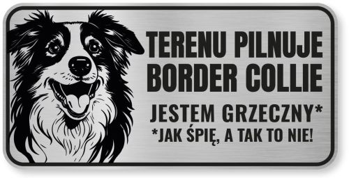 Tabliczka ostrzegawcza - Uwaga pies Border Collie śmieszna