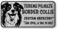 Tabliczka ostrzegawcza - Uwaga pies Border Collie śmieszna