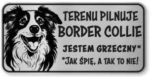 Tabliczka ostrzegawcza - Uwaga pies Border Collie śmieszna