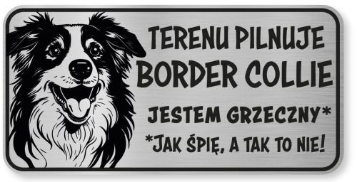 Tabliczka ostrzegawcza - Uwaga pies Border Collie śmieszna