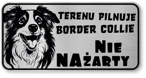 Tabliczka ostrzegawcza - Uwaga pies Border Collie śmieszna