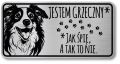 Tabliczka ostrzegawcza - Uwaga pies Border Collie śmieszna