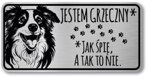 Tabliczka ostrzegawcza - Uwaga pies Border Collie śmieszna