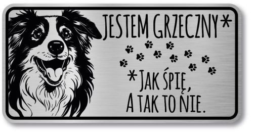 Tabliczka ostrzegawcza - Uwaga pies Border Collie śmieszna