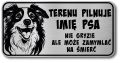 Tabliczka ostrzegawcza - Uwaga pies Border Collie z imieniem