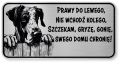 Tabliczka ostrzegawcza - Uwaga pies DOG NIEMIECKI śmieszna