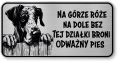 Tabliczka ostrzegawcza - Uwaga pies DOG NIEMIECKI śmieszna
