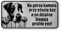 Tabliczka ostrzegawcza - Uwaga pies DOG NIEMIECKI śmieszna