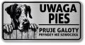 Tabliczka ostrzegawcza - Uwaga pies DOG NIEMIECKI po śląsku