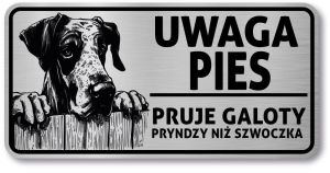 Tabliczka ostrzegawcza - Uwaga pies DOG NIEMIECKI po śląsku
