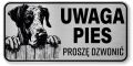 Tabliczka ostrzegawcza - Uwaga pies DOG NIEMIECKI
