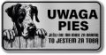 Tabliczka ostrzegawcza - Uwaga pies DOG NIEMIECKI
