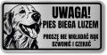 Tabliczka ostrzegawcza - Uwaga pies GOLDEN RETRIEVER