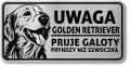 Tabliczka ostrzegawcza - Uwaga pies GOLDEN RETRIEVER po śląsku