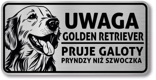 Tabliczka ostrzegawcza - Uwaga pies GOLDEN RETRIEVER po śląsku