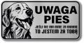 Tabliczka ostrzegawcza - Uwaga pies GOLDEN RETRIEVER