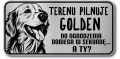 Tabliczka ostrzegawcza - Uwaga pies GOLDEN RETRIEVER