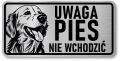 Tabliczka ostrzegawcza - Uwaga pies GOLDEN RETRIEVER
