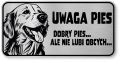 Tabliczka ostrzegawcza - Uwaga pies GOLDEN RETRIEVER