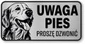 Tabliczka ostrzegawcza - Uwaga pies GOLDEN RETRIEVER