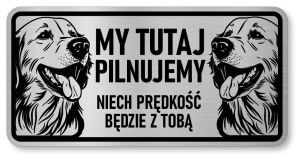 Tabliczka ostrzegawcza - Uwaga pies GOLDEN RETRIEVER 2 psy