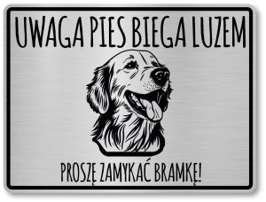 Tabliczka ostrzegawcza - Uwaga pies GOLDEN RETRIEVER