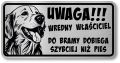 Tabliczka ostrzegawcza - Uwaga pies GOLDEN RETRIEVER śmieszna