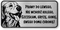 Tabliczka ostrzegawcza - Uwaga pies GOLDEN RETRIEVER śmieszna