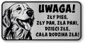 Tabliczka ostrzegawcza - Uwaga pies GOLDEN RETRIEVER śmieszna