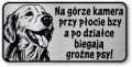 Tabliczka ostrzegawcza - Uwaga pies GOLDEN RETRIEVER śmieszna