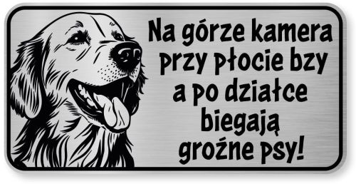 Tabliczka ostrzegawcza - Uwaga pies GOLDEN RETRIEVER śmieszna