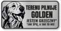 Tabliczka ostrzegawcza - Uwaga pies GOLDEN RETRIEVER śmieszna