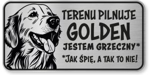 Tabliczka ostrzegawcza - Uwaga pies GOLDEN RETRIEVER śmieszna