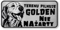 Tabliczka ostrzegawcza - Uwaga pies GOLDEN RETRIEVER śmieszna