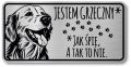 Tabliczka ostrzegawcza - Uwaga pies GOLDEN RETRIEVER śmieszna