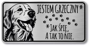 Tabliczka ostrzegawcza - Uwaga pies GOLDEN RETRIEVER śmieszna