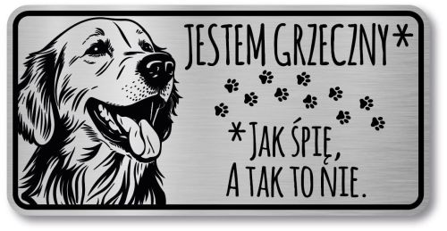 Tabliczka ostrzegawcza - Uwaga pies GOLDEN RETRIEVER śmieszna