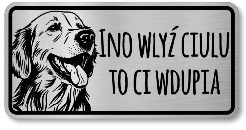 Tabliczka ostrzegawcza - Uwaga pies GOLDEN RETRIEVER po śląsku