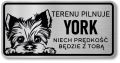 Tabliczka ostrzegawcza - Uwaga pies York