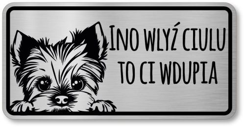Tabliczka ostrzegawcza - Uwaga pies York po śląsku