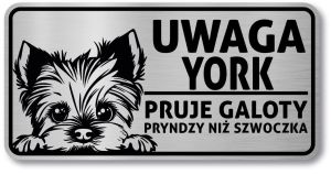 Tabliczka ostrzegawcza - Uwaga pies York po śląsku
